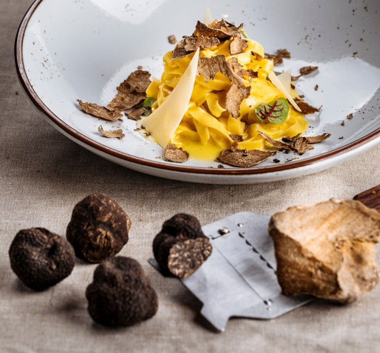 Authentic Italian black and white truffles sourced directly from Italy for SALTOPIA truffle infused sea salts