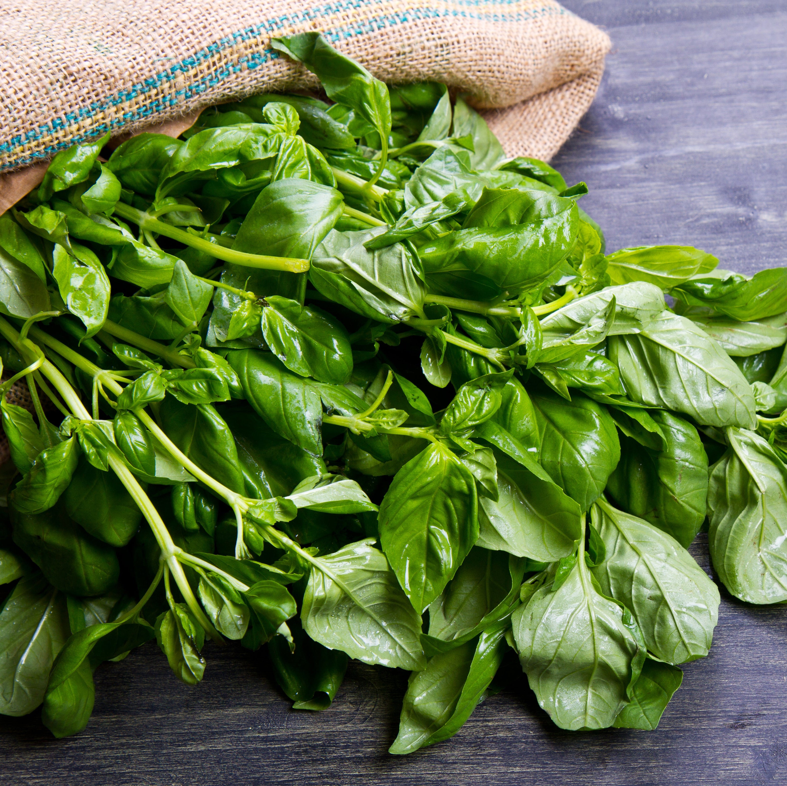 Basil Salt: BASILS LOADED
