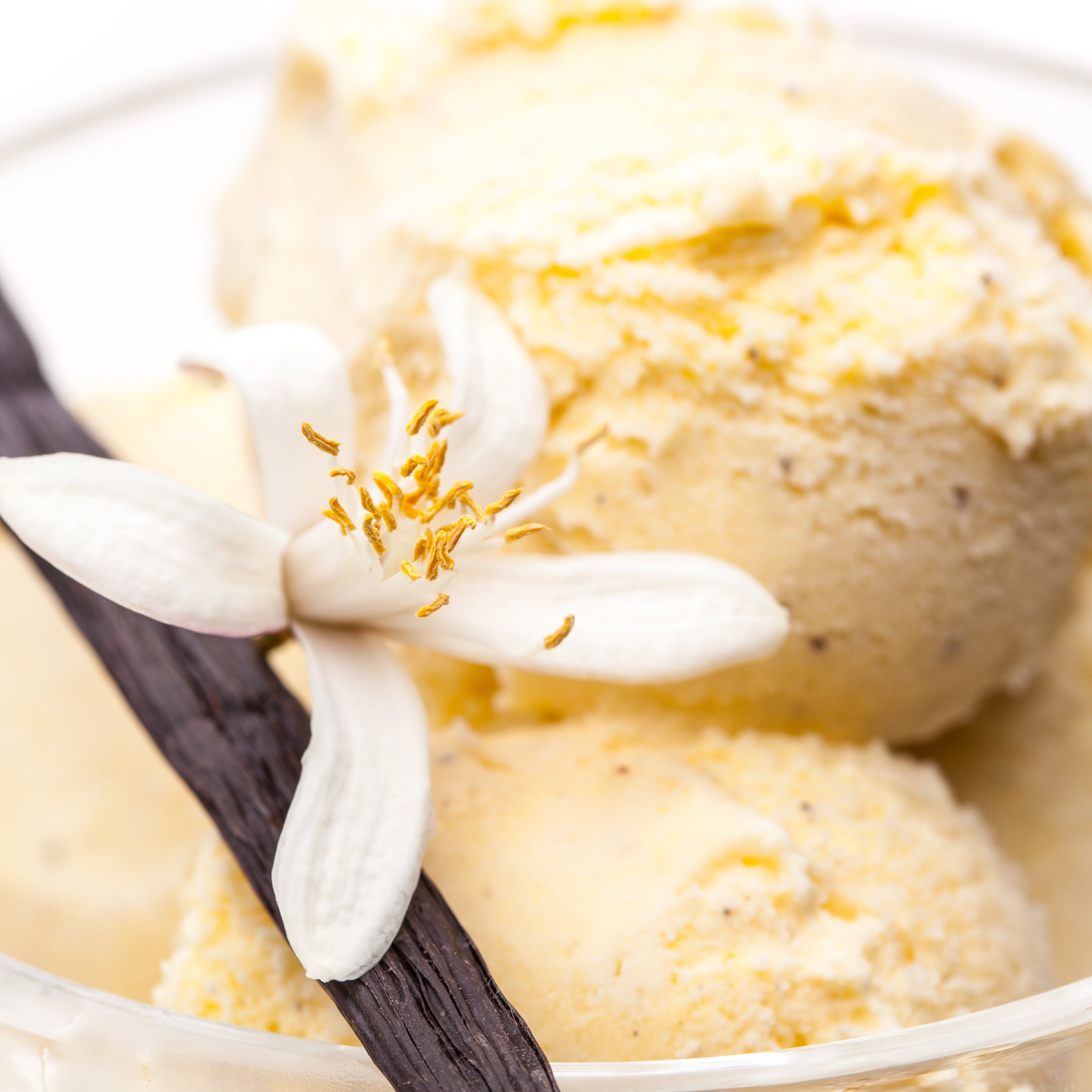 Vanilla Bean Sugar: BEAN GOOD 16oz