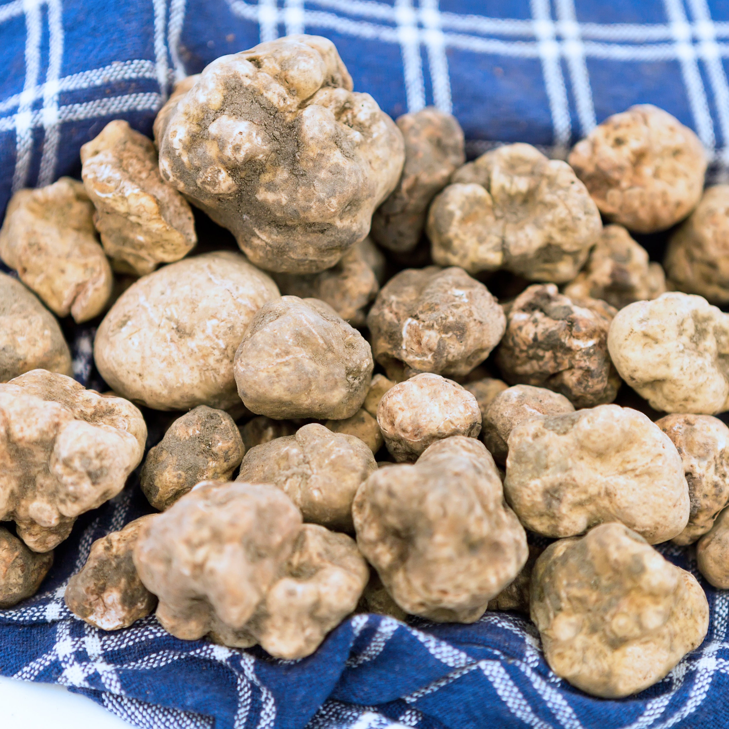 Truffle Salt, White Italian Truffles: DIRTY WEDDING