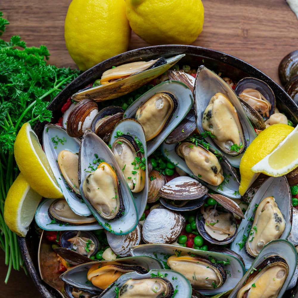 Seafood Shellfish