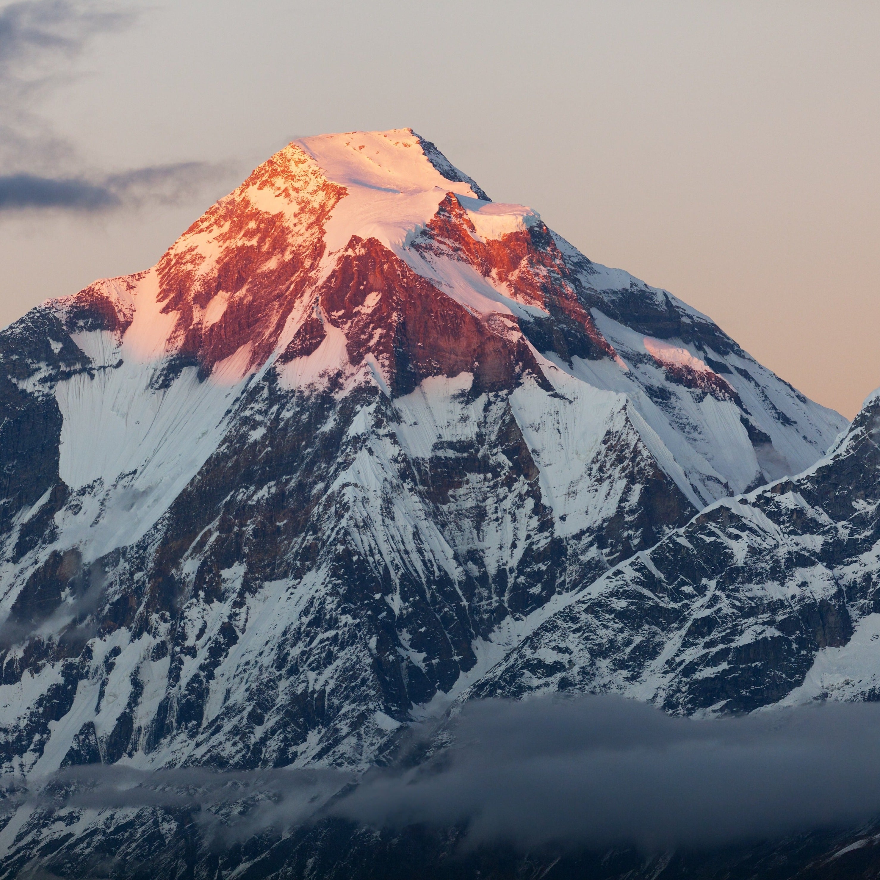 Pink Himalayan Coarse Salt 5lbs