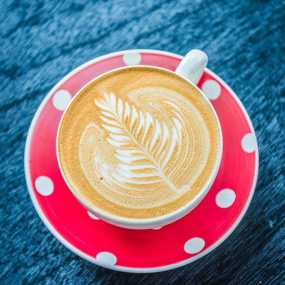 CAPPUCCINO Instant Italian Ice