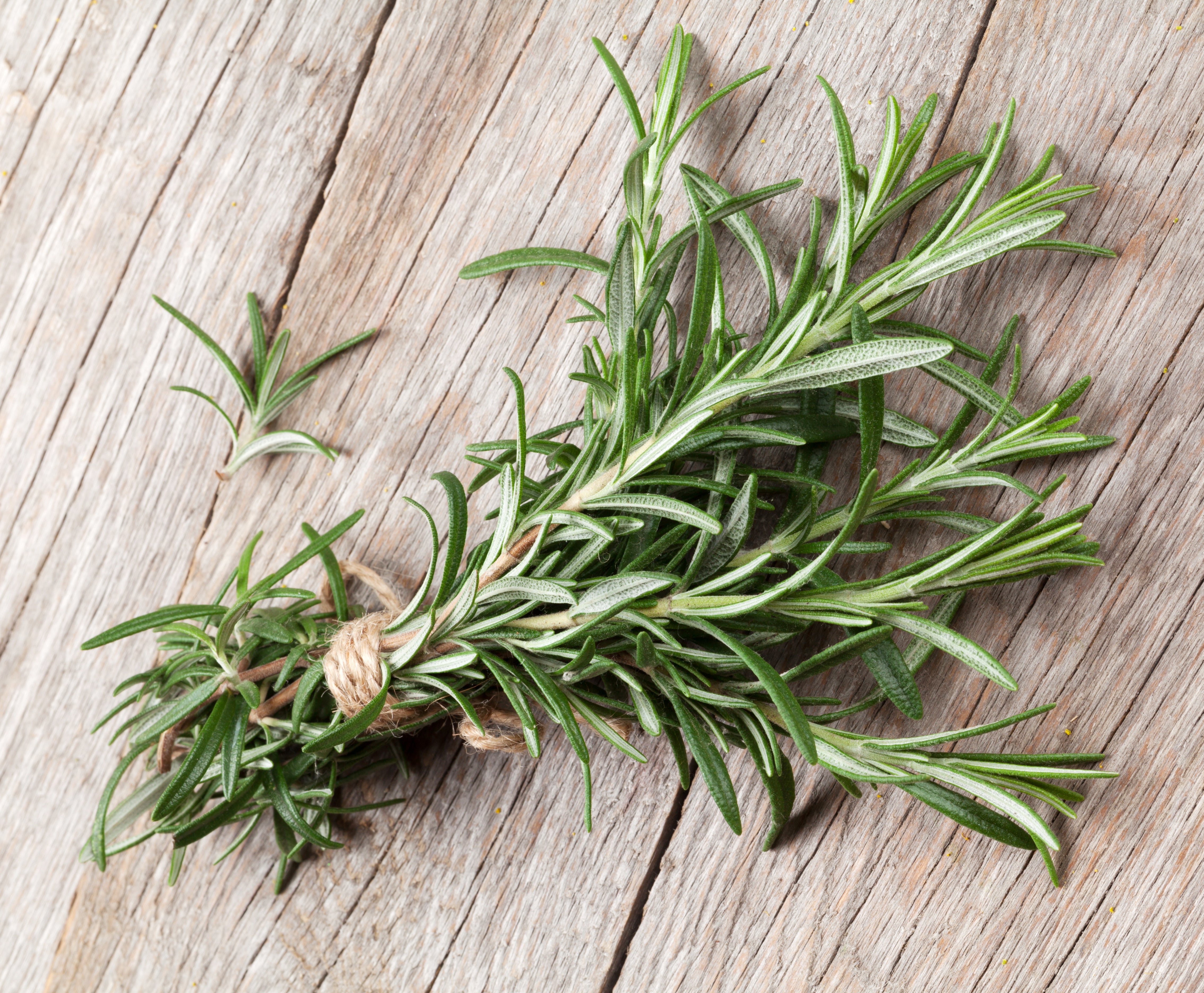 SALTOPIA Infused Sea Salts