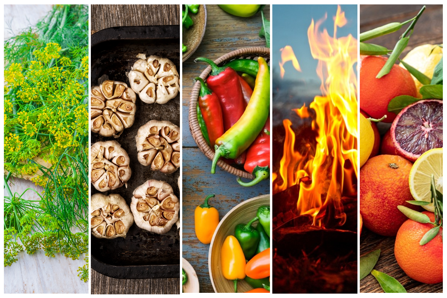 SALTOPIA Infused Sea Salts