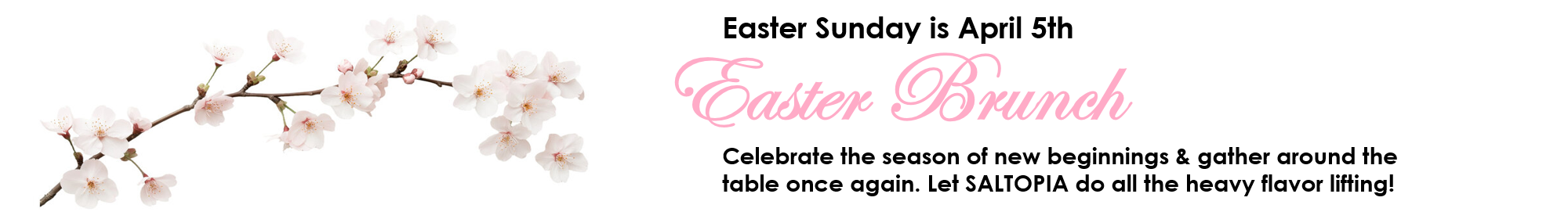 SALTOPIA Infused Sea Salts